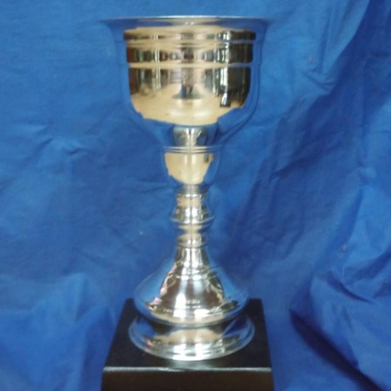 Copa 3 tamaños con y sin tapa